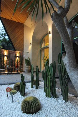 MYYAN Retreat Đà Nẵng 3