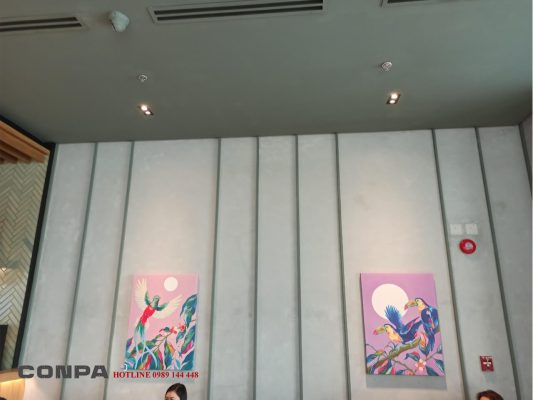 starbucks cafe phú nhuận hcm