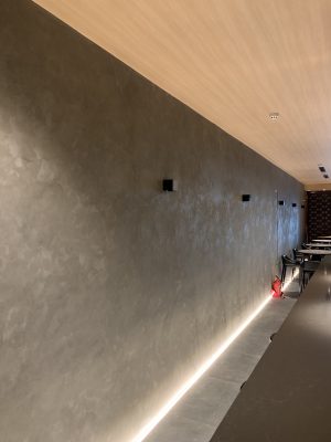 Sơn tường giả bê tông Conpa