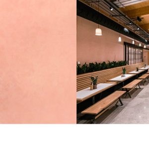 light sweet coral lsc04l paint design