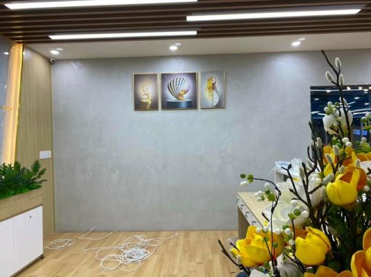 sơn hiệu ứng bê tông văn phòng bin corporation