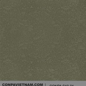 CONPA S10-01
