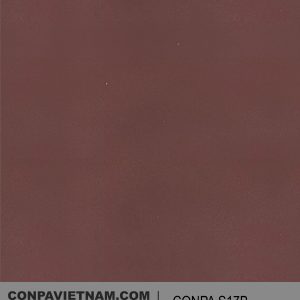 CONPA S17B