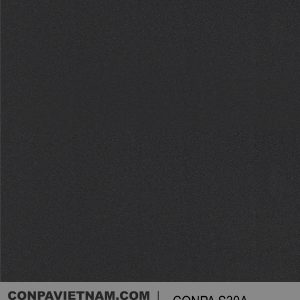 CONPA S30A