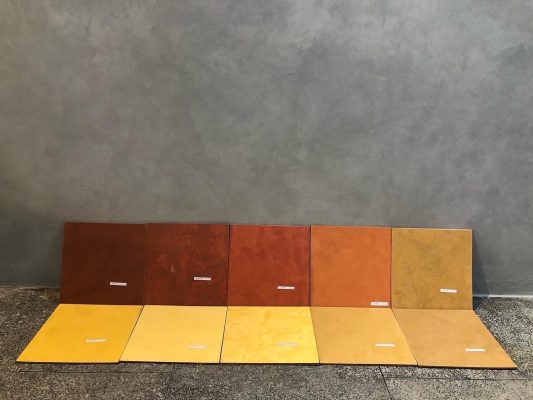 sample mẫu sơn conpa 2