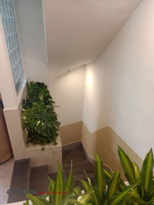 Khu vực lối đi xuống của quán coffee