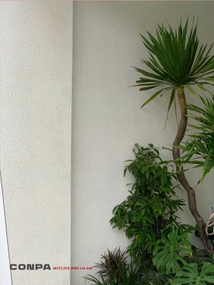 Mặt tường sơn