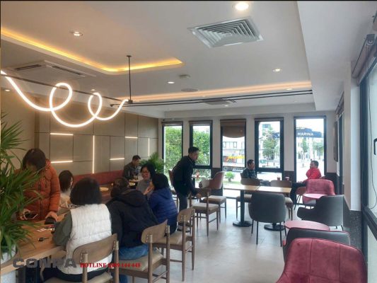 Khai trương cửa hàng tại Hải Phòng
