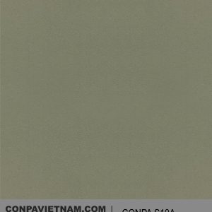 CONPA S10A