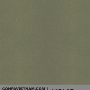 CONPA S10B