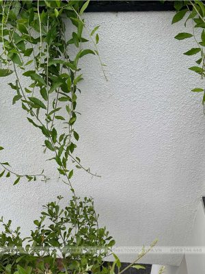 Bề mặt tường sơn cát mỹ thuật Conpa
