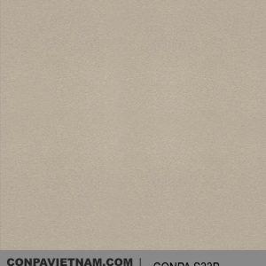 CONPA S33B