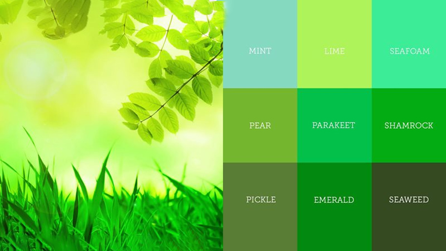 Đặc điểm nổi bật của màu xanh lá