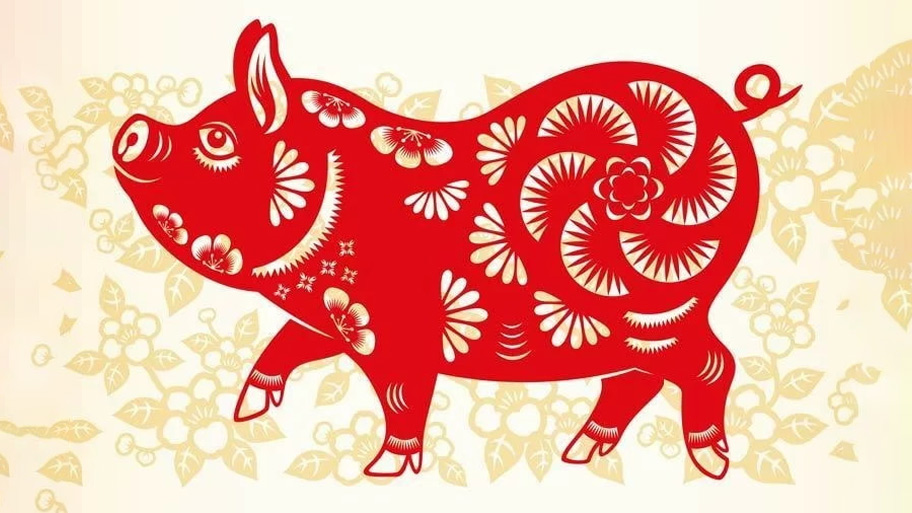 Tìm hiểu về tuổi Hợi